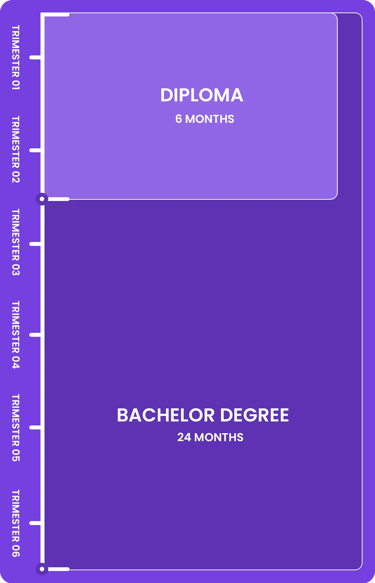Pathway illustration for Diploma/Bachelor Degree