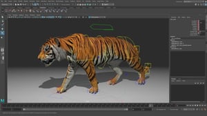 tiger-rig-demo